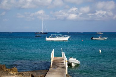 Büyük Cayman Adası (Cayman Adaları) yakınlarındaki küçük bir rıhtımın ve farklı türde teknelerin manzarası).