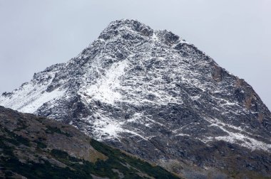 Skagway kasabasından (Alaska) karlı kayalık bir dağın sonbahar manzarası).