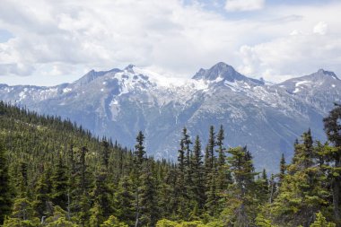 Arka planda yüksek bir dağ bulunan Yukarı Dewey Gölü ormanı manzarası (Skagway, Alaska).