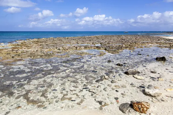 Büyük Cayman Adası 'ndaki Kayalık Yedi Mil Sahili manzarası (Cayman Adaları).