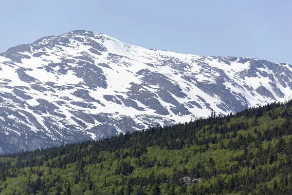Vista Panorámica Una Montaña Nevada Finales Primavera Vista Desde Skagway Imágenes de stock libres de derechos