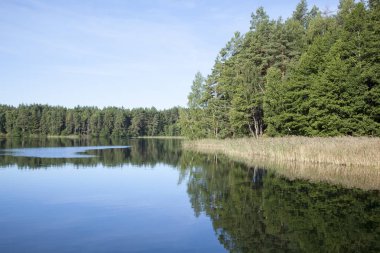 Baltis Gölü 'nün sabah manzarası sakin sularda sonbaharın başlarında yansıyan yansımalarla (Litvanya).