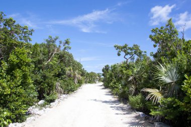 Küçük Stirrup Cay turizm adasındaki (Bahamalar) tek yol manzarası).