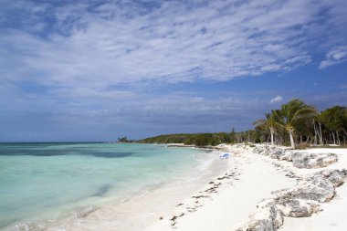 Little Stirrup Cay turizm adasındaki (Bahamalar) hala boş kumsal manzarası).