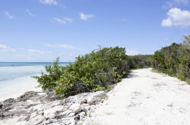 Küçük Stirrup Cay turistik adasındaki (Bahamalar) dar sahil boyunca uzanan tek yol).