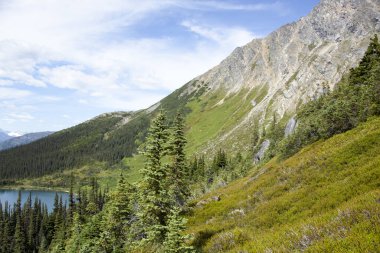 Yukarı Dewey Gölü manzarası ve yaz boyunca en yakın dağ (Skagway, Alaska)).