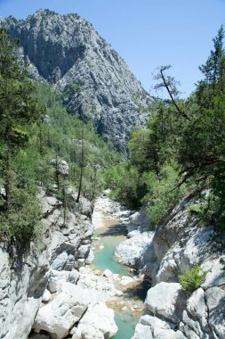 Antalya 'nın Kesme Bogazi Kanyon Parkı' ndaki (Türkiye) sığ bir dağ nehrinin manzarası).