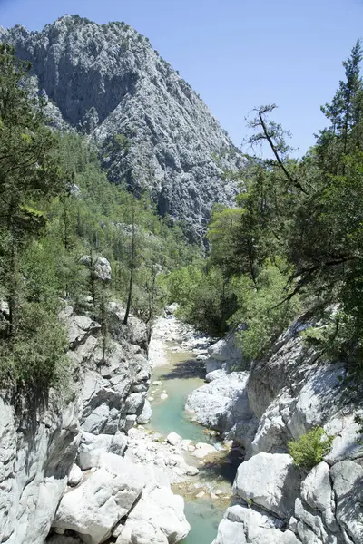 Antalya 'nın Kesme Bogazi Kanyon Parkı' ndaki (Türkiye) sığ bir dağ nehrinin manzarası).