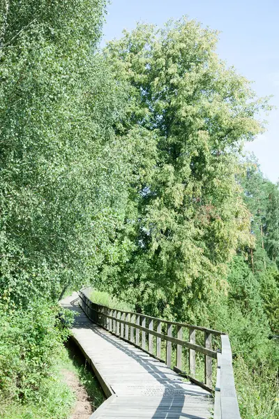 Ardıç Vadisi 'nden (Litvanya) keyif almak için inşa edilen tahta bir turist patikasının manzarası.).