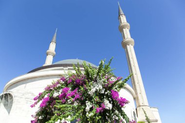 Kemer tatil beldesinde minareleri olan ana caminin yanındaki renkli çiçeklerin manzarası (Türkiye).