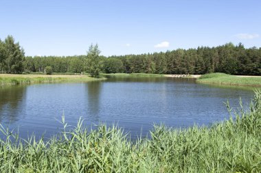 Birstonas tatil köyünde (Litvanya) küçük bir göl manzarası).