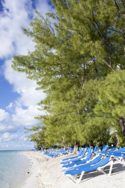 Little Stirrup Cay 'de (Bahamalar) hala boş olan uzun ağaçlı turistik plaj manzarası).