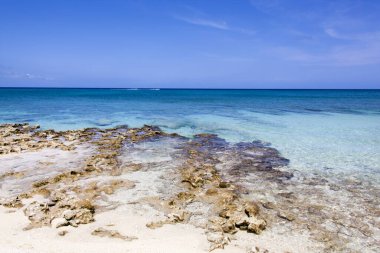 Büyük Cayman Adası 'ndaki (Cayman Adaları) Seven Mile Beach' in renkli suları ve kayalık kıyılarının manzarası).