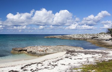 Little Stirrup Cay turistik adasındaki (Bahamalar) kayalık bir plajın sabah manzarası).