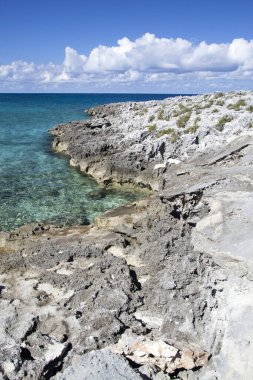 Şeffaf suların manzarası ve Little Stirrup Cay turistik adasındaki kayalık kıyı şeridi (Bahamalar)).