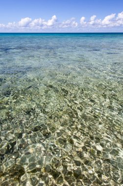 Büyük Cayman Adaları sahilindeki kristal berrak suların manzarası).