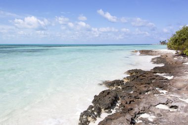 Little Stirrup Cay turizm adasındaki (Bahamalar) Karayip Denizi 'nin şeffaf suları ve kayalık kıyılarının sabah manzarası).