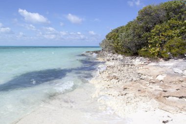 Küçük Stirrup Cay turizm adasında (Bahamalar) Karayip Denizi dalgalarının aşınmış kayalık kıyılarını görüntülemesi).
