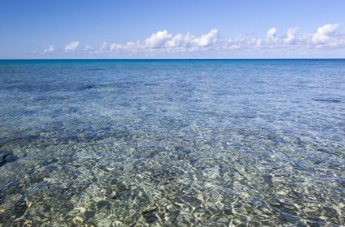 Little Stirrup Cay turizm adasındaki (Bahamalar) şeffaf renkli suların manzarası).