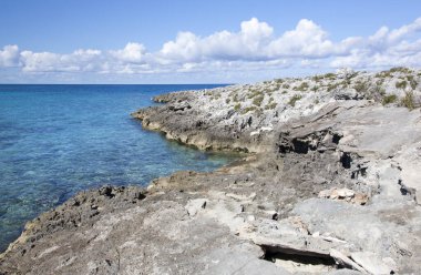 Little Stirrup Cay 'deki aşınmış kayalık kıyı şeridi manzarası (Bahamalar)).