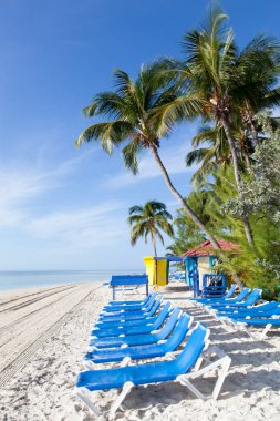 Little Stirrup Cay 'deki (Bahamalar) hala boş turistik plajların üzerine eğilmiş palmiye ağaçlarının sabah manzarası).