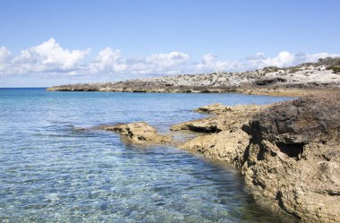 Little Stirrup Cay 'deki kayalık kıyı şeridi ve şeffaf suların manzarası ıssız bir ada (Bahamalar)).