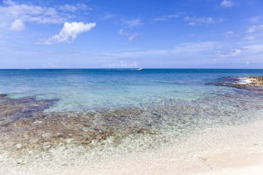 Büyük Cayman Adaları 'ndaki (Cayman Adaları) Seven Mile Sahili' nin renkli manzarası).