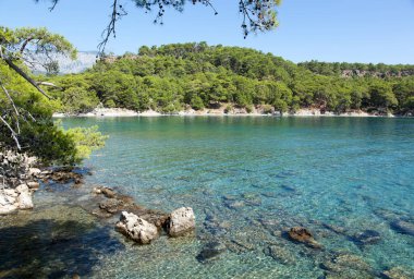 Antalya 'nın Phaselis antik şehir körfezindeki (Antalya ilindeki) renkli suların sabah manzarası).