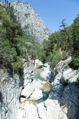 Antalya 'nın Kesme Bogazi parkındaki (Türkiye) sığ bir dağ nehrinin manzarası).