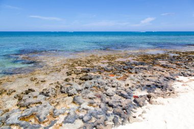 Büyük Cayman Adaları 'ndaki Seven Mile Sahili' nin kayalık ve kumlu sahili manzarası).