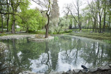 Ortasında bir gölet olan Lublin şehir parkının bahar manzarası (Polonya).