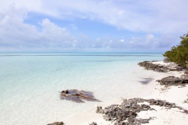 Little Stirrup Cay 'deki boş bir sahil manzarası (Bahamalar)).