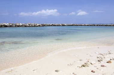 Büyük Cayman adası Yedi Mil Sahili 'nde (Cayman Adaları) küçük bir dalga kıran manzarası).