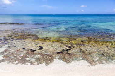 Büyük Cayman adası, Seven Mile Beach ve saydam Karayip Denizi sularının manzarası (Cayman Adaları)).