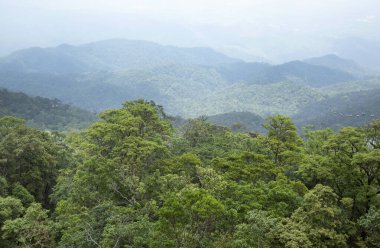 Vietnam 'da dağları aşan turistleri taşıyan birçok teleferiğin manzarası..