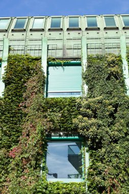 Şehir merkezindeki Varşova 'da (Polonya) tırmanma tesislerinin kapsadığı modern bir sanayi binasının sonbahar manzarası).