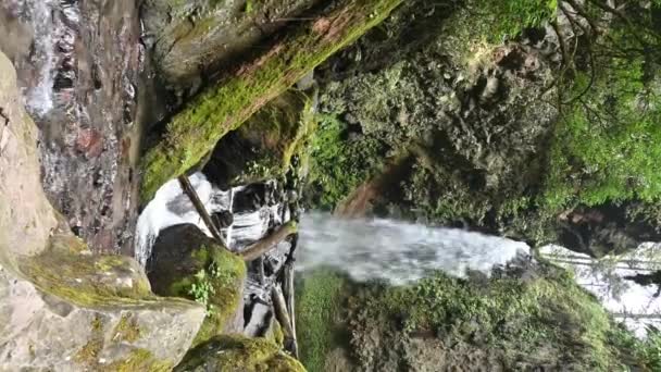 Kaskádový Vodopád Příroda Uvnitř Lesa Vertikální — Stock video