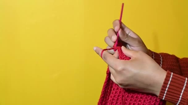 Detalhe Mãos Tricô Com Uma Agulha Crochê — Vídeo de Stock