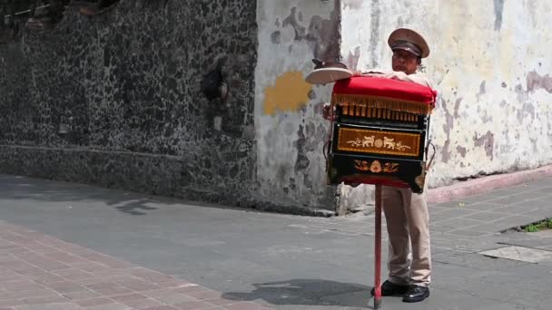 Uomo Che Suona Organo Legno Città Del Messico — Video Stock