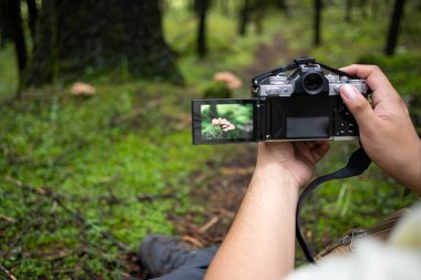 Ormanda kamerayı tutan eller.