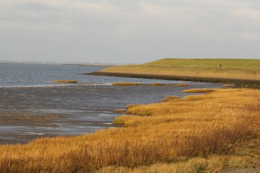 Batının batısında, deniz lezbiyeninin önünde alçak gelgitli çamurlu bir bataklık.
