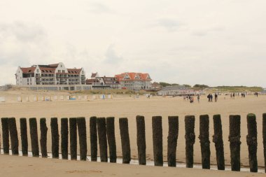 a sand beach with beach poles and hotels and pavilions at the dunes at the dutch coast in cadzand