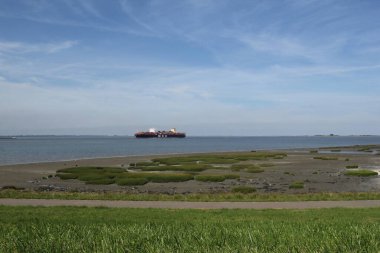Terneuzen, Hollanda - sep 3, 2023: Batı sahilinde büyük bir kargo gemisi ve önünde çimen hörgüçlü ve çamurlu bir tuz bataklığı olan kıyı manzarası