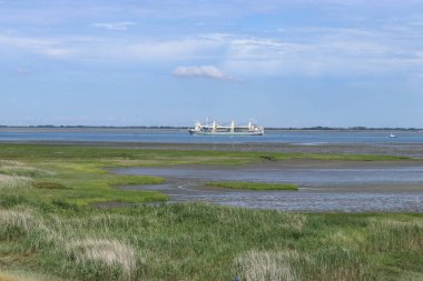 Yazın Zeeland 'deki Hollanda kıyılarında bataklıkta güzel bir yeşil tuz bataklığı ve arka planda suda bir gemi.