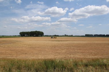 Çiçeklerle dolu güzel bir kırsal arazi ve yazları bulutlu mavi gökyüzü ve bir makineli bir traktör.