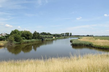 Hollanda 'nın kırsal kesimlerinde sazlık yatakları ve ağaçları olan bir dere ve yazın mavi gökyüzü.