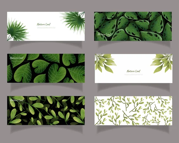 Hojas Diseño Del Molino Panadería Vector Para Ecología Conjunto Paquete — Vector de stock