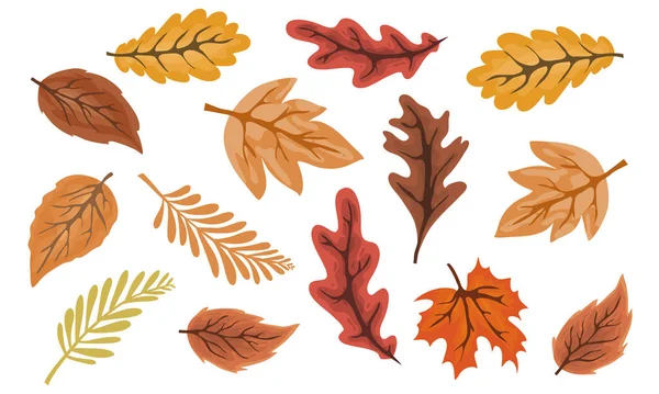 Autumn Leaves Background Hello Autumn Event Design — Vector de stock