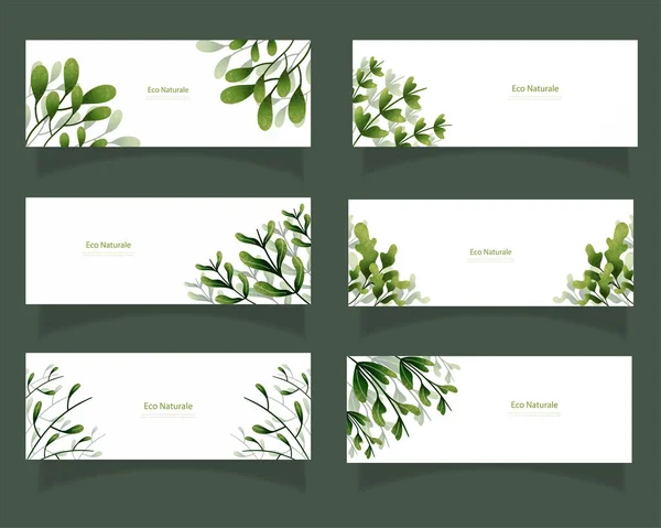 Blätter Backboden Design Vektor Für Ökologie Set Bündel Natur Hinterlässt — Stockvektor