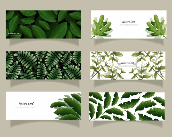 Leaves Bakground Design Vector Ecology Set Bundle Nature Leaves Background — Stock Vector